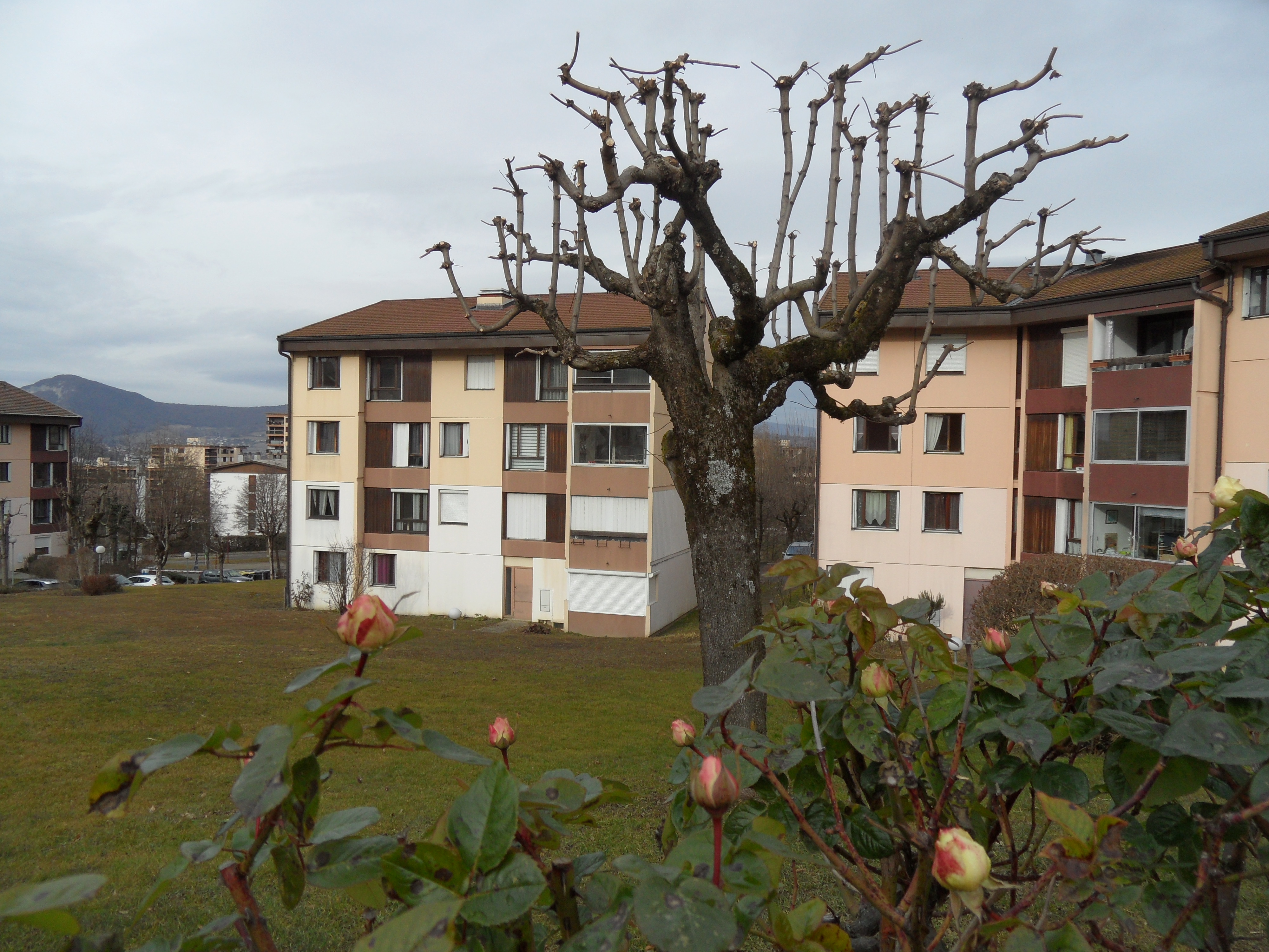 vente-cran-gevrier